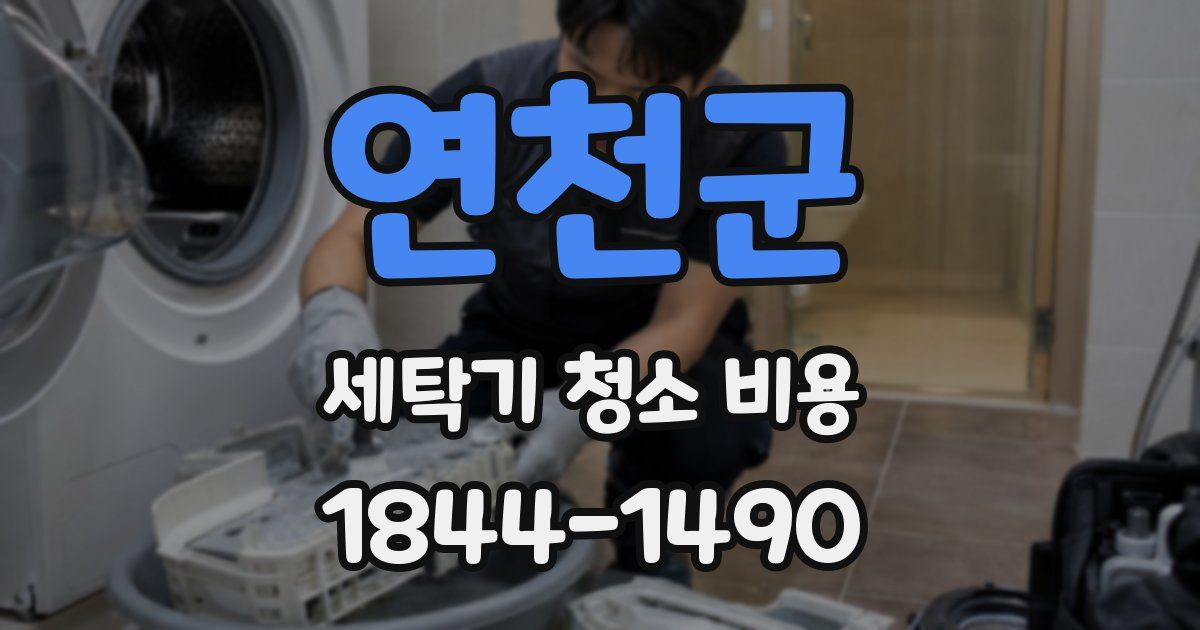 연천군 세탁기 청소 비용