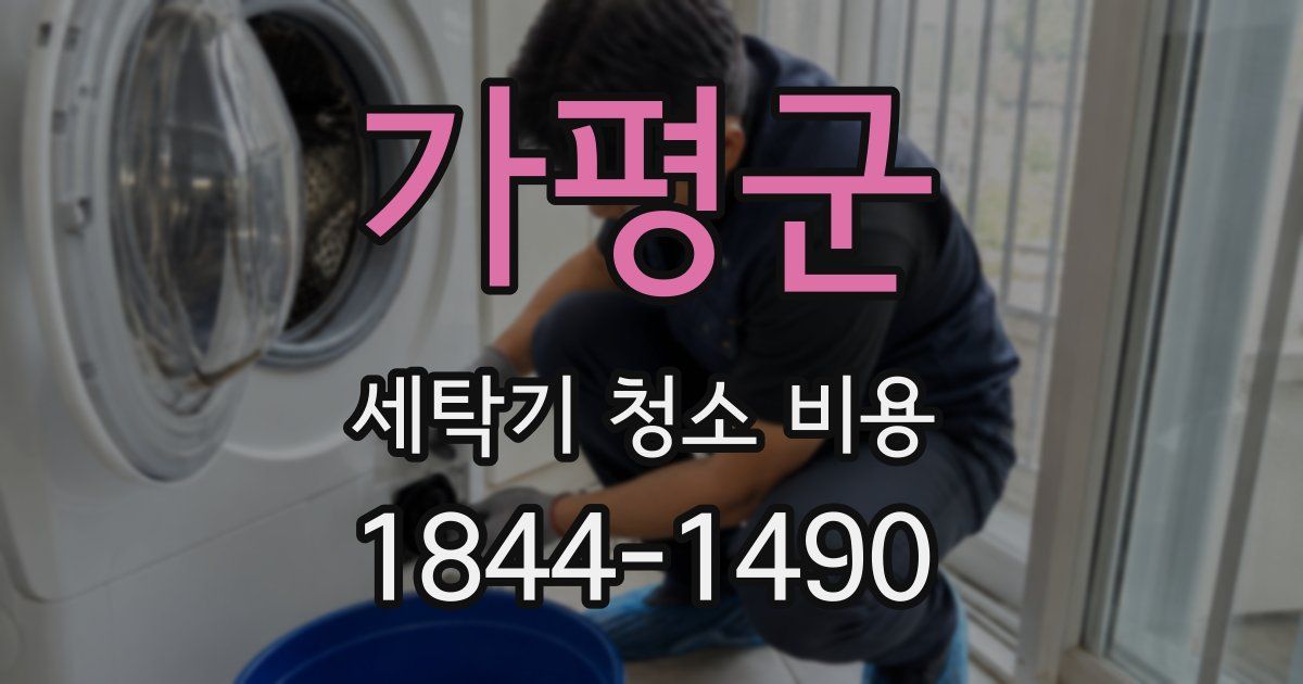 가평군 세탁기 청소 비용