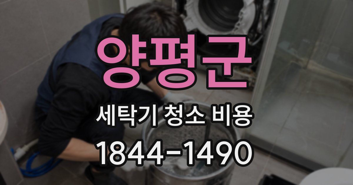 양평군 세탁기 청소 비용