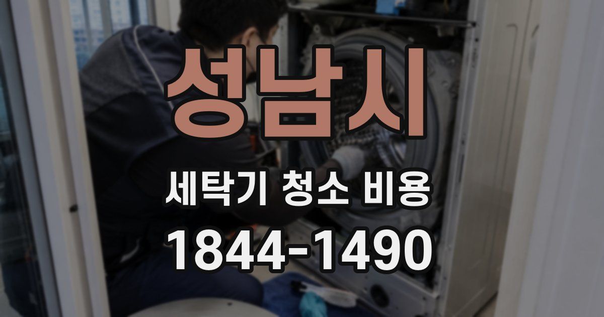 성남시 세탁기 청소 비용