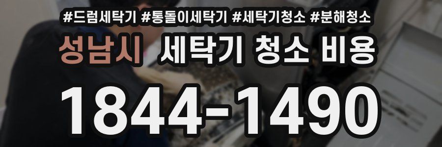 성남시 세탁기 청소 비용