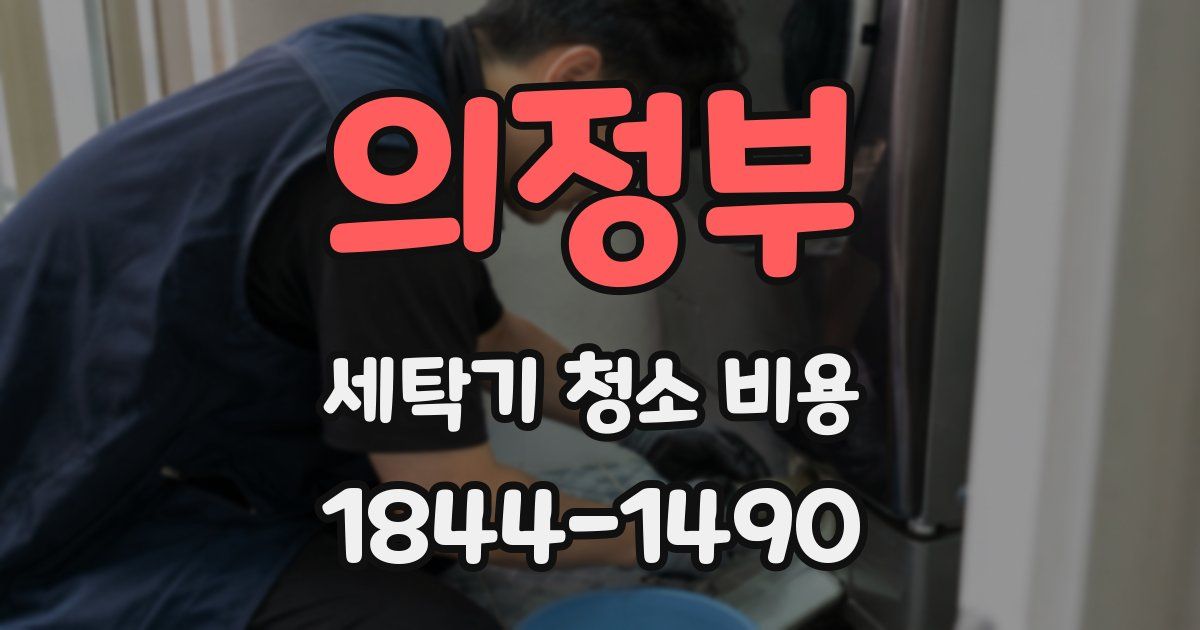 의정부 세탁기 청소 비용