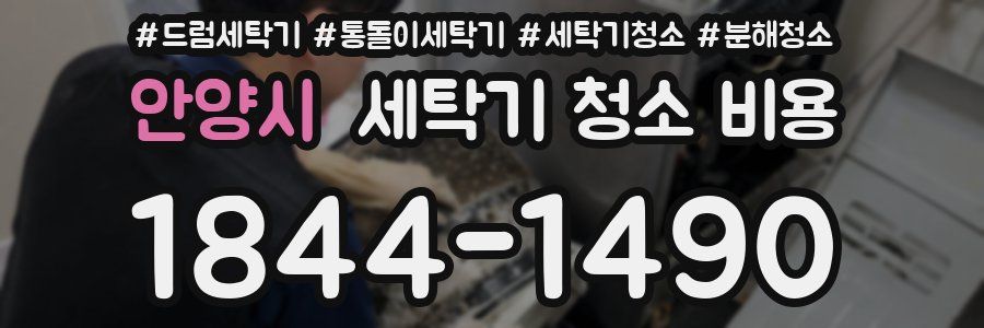 안양시 세탁기 청소 비용