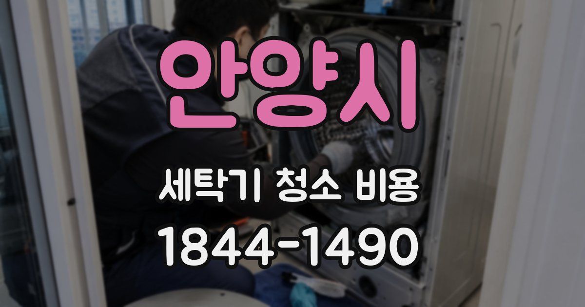 안양시 세탁기 청소 비용