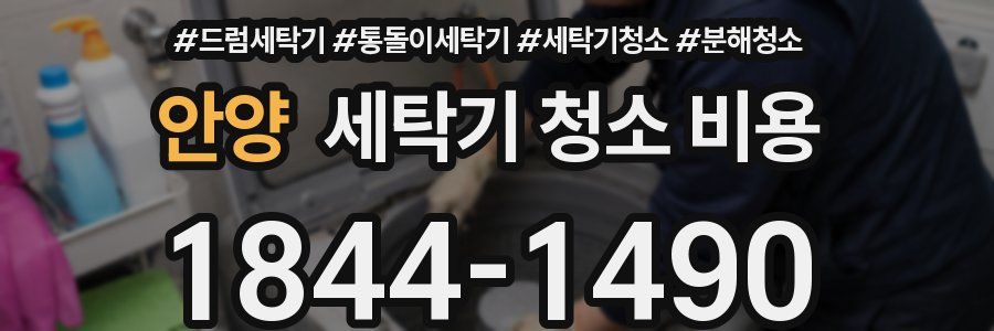 안양 세탁기 청소 비용