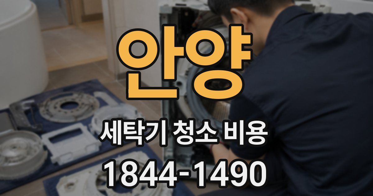 안양 세탁기 청소 비용