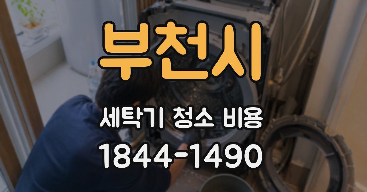 부천시 세탁기 청소 비용