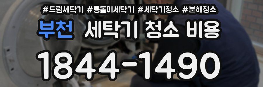 부천 세탁기 청소 비용