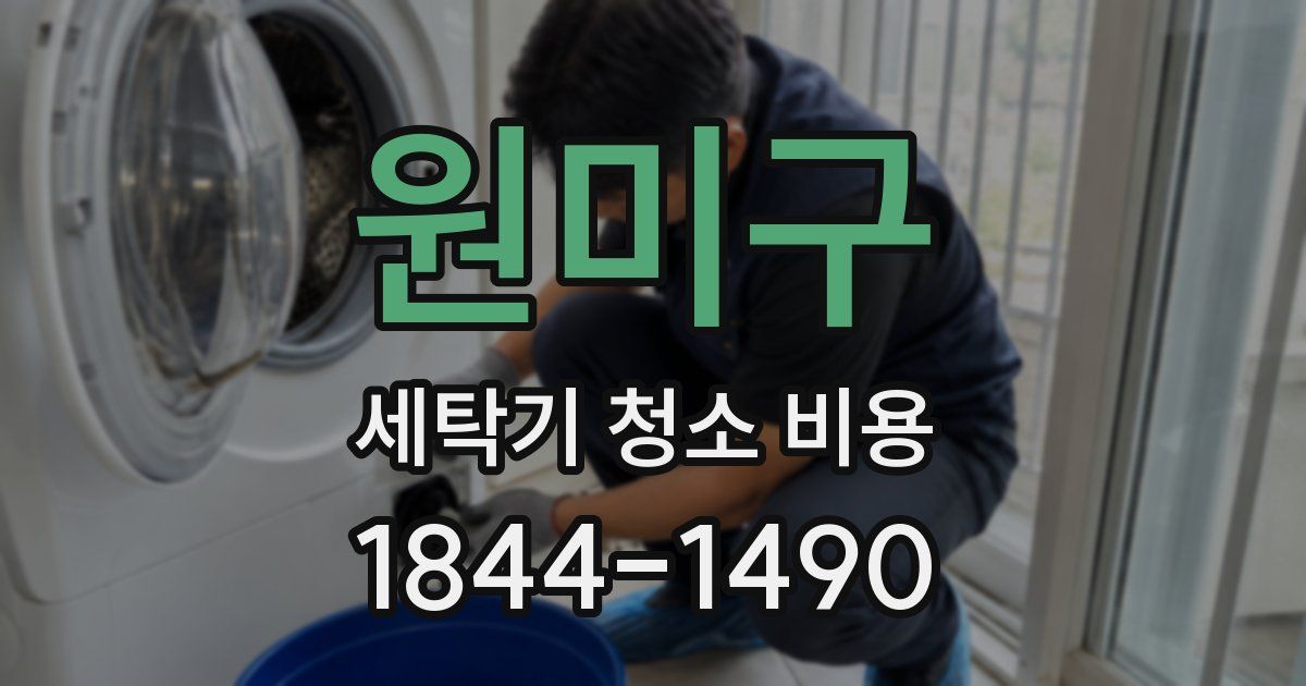 원미구 세탁기 청소 비용