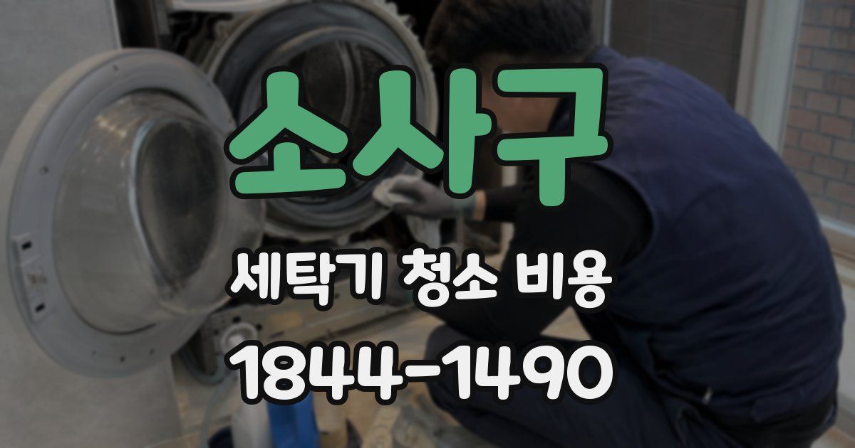 소사구 세탁기 청소 비용