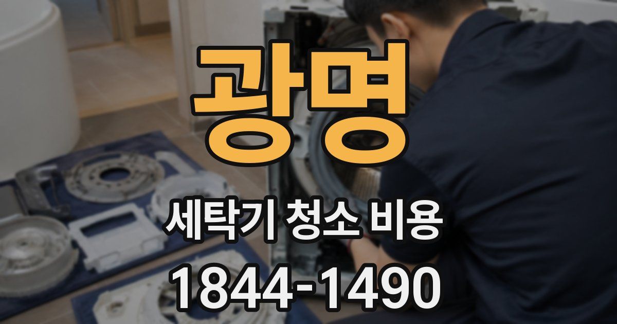 광명 세탁기 청소 비용