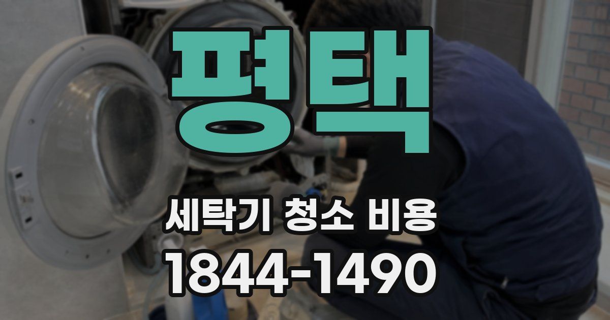 평택 세탁기 청소 비용