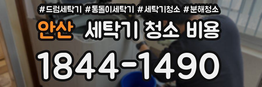 안산 세탁기 청소 비용