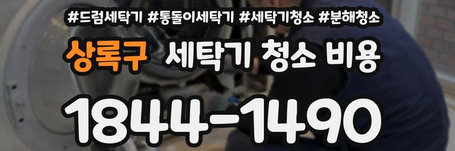 상록구 세탁기 청소 비용
