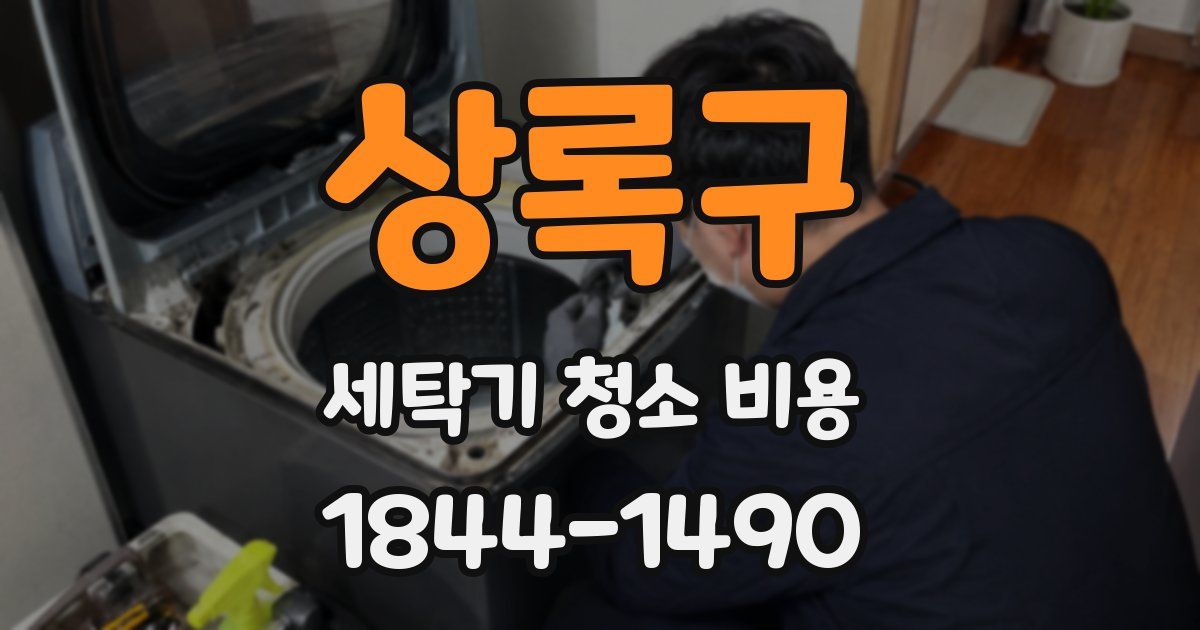 상록구 세탁기 청소 비용