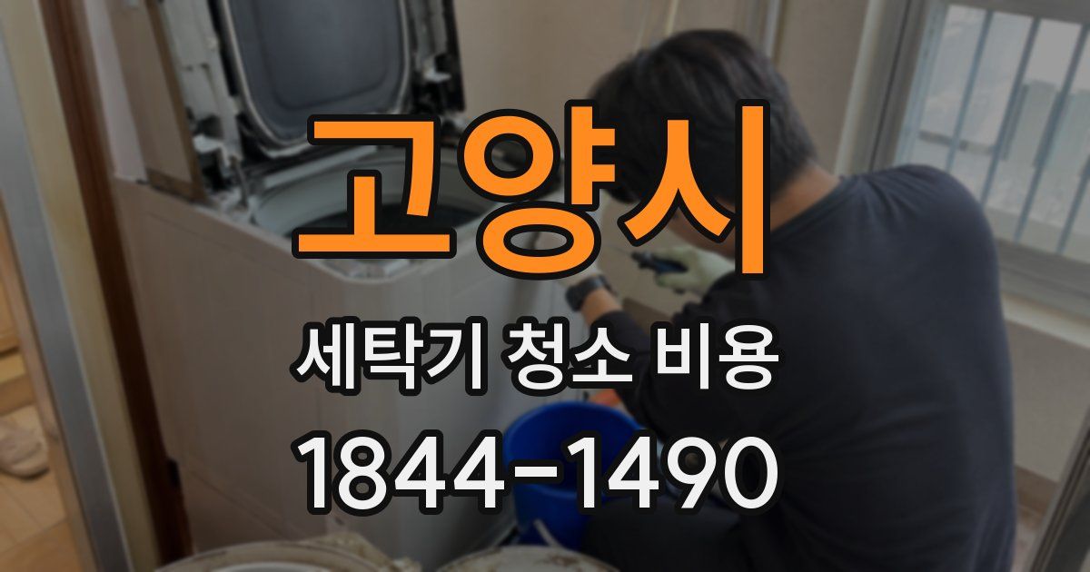 고양시 세탁기 청소 비용