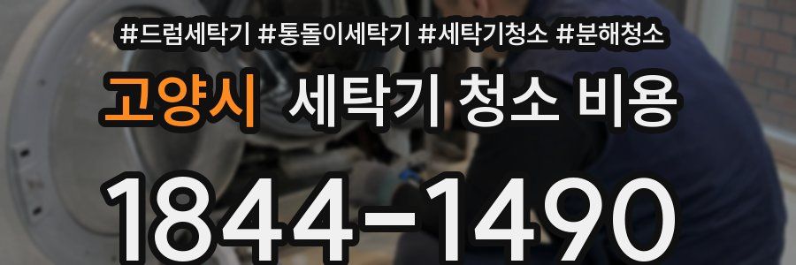 고양시 세탁기 청소 비용