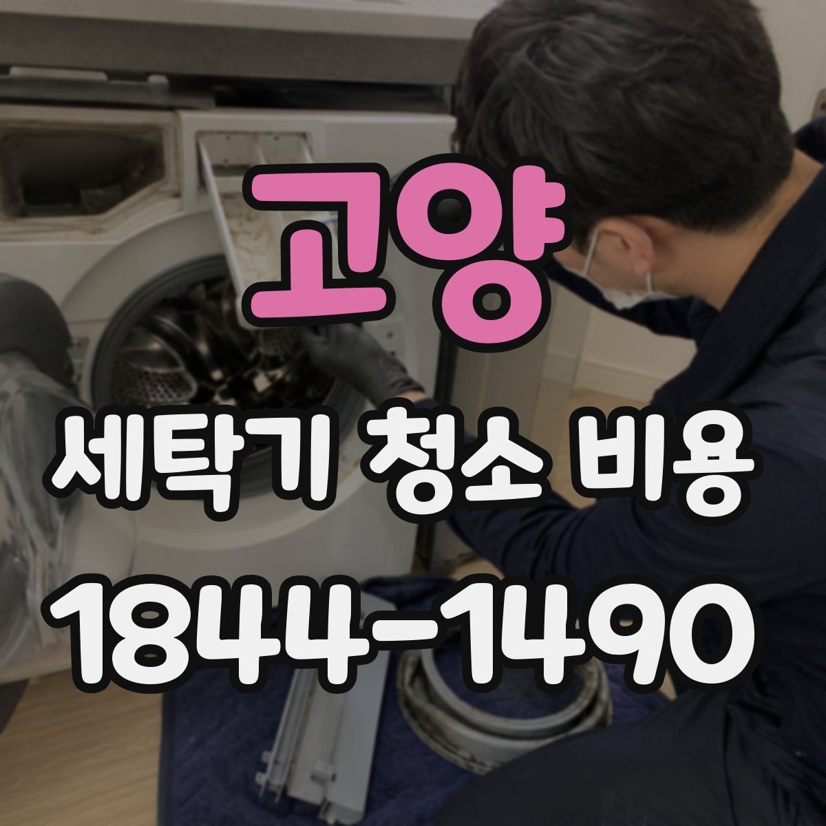 고양 세탁기 청소 비용