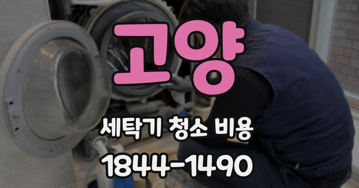 고양 세탁기 청소 비용