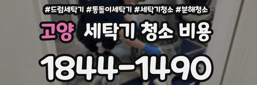 고양 세탁기 청소 비용