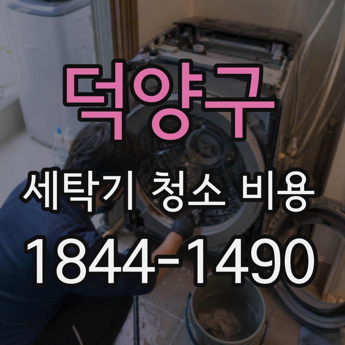 덕양구 세탁기 청소 비용