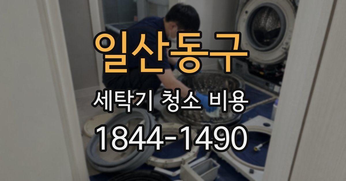 일산동구 세탁기 청소 비용
