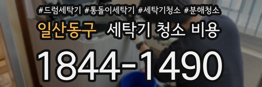 일산동구 세탁기 청소 비용