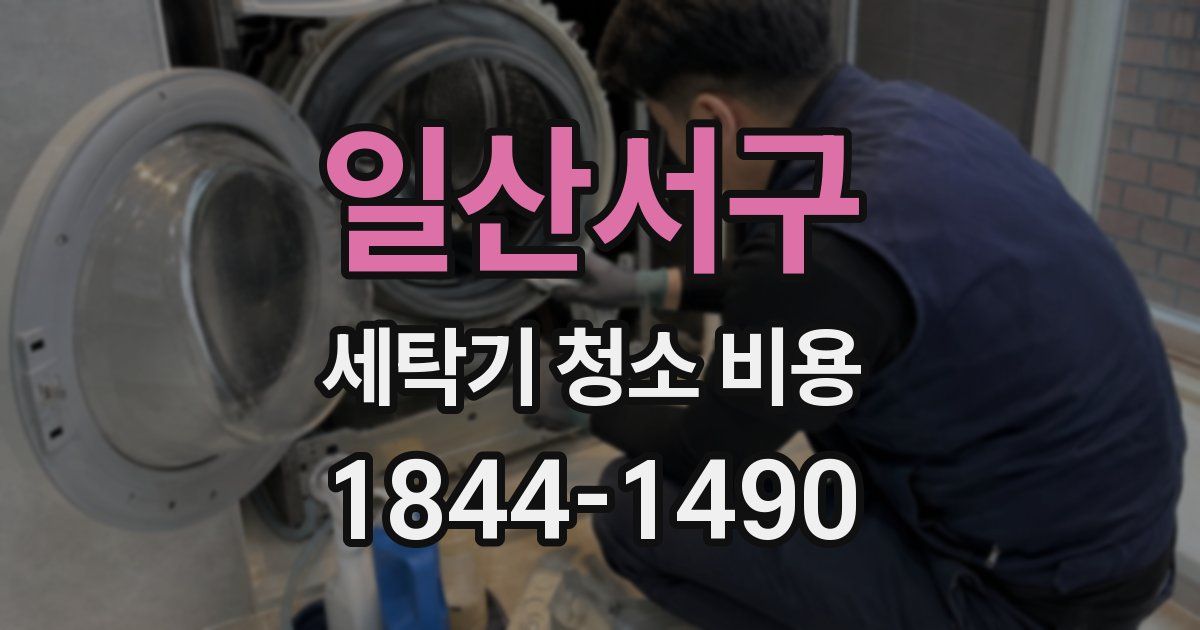 일산서구 세탁기 청소 비용