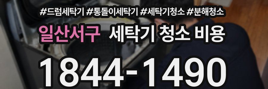 일산서구 세탁기 청소 비용