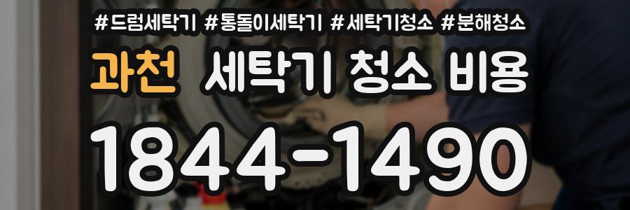 과천 세탁기 청소 비용