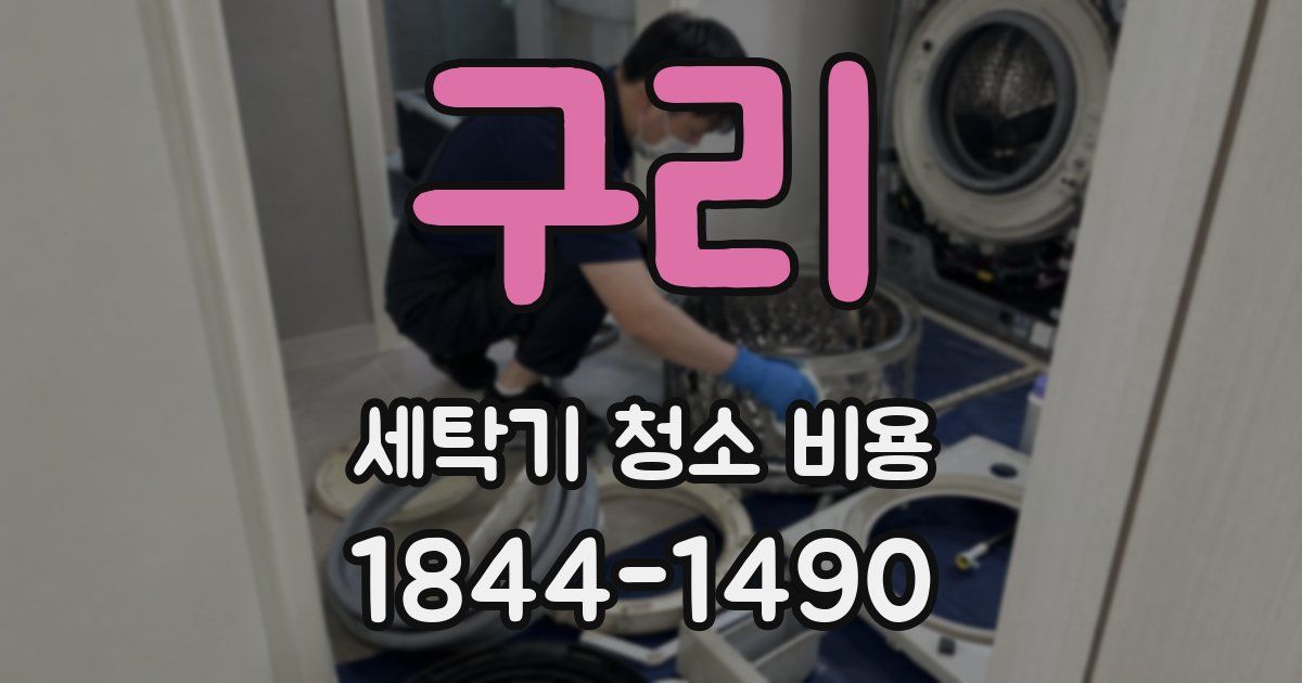 구리 세탁기 청소 비용