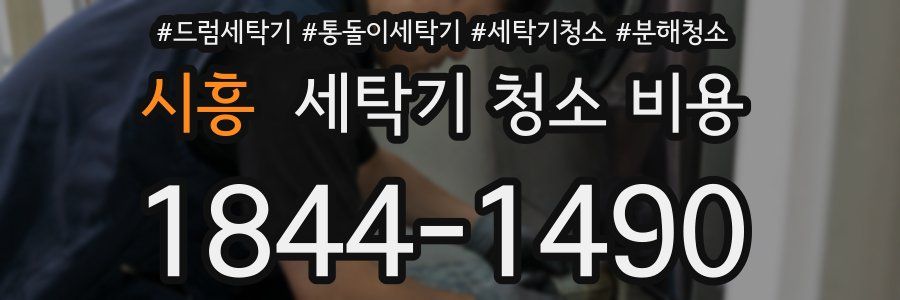 시흥 세탁기 청소 비용