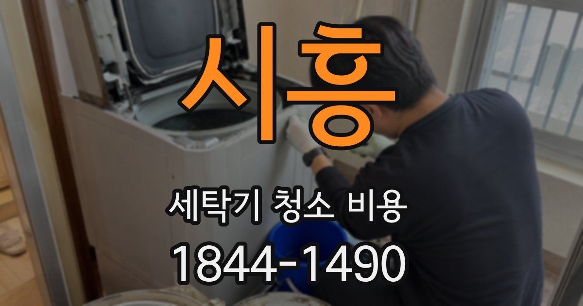 시흥 세탁기 청소 비용