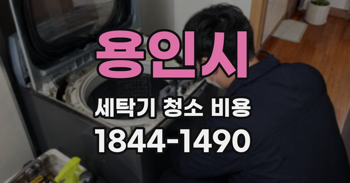 용인시 세탁기 청소 비용
