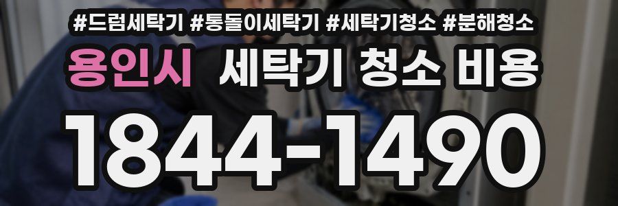 용인시 세탁기 청소 비용