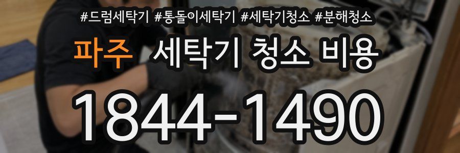 파주 세탁기 청소 비용