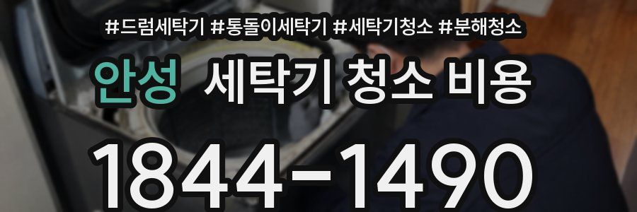안성 세탁기 청소 비용