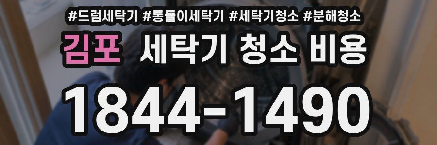 김포 세탁기 청소 비용