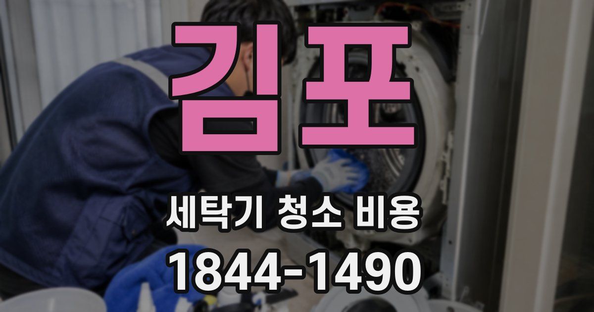 김포 세탁기 청소 비용
