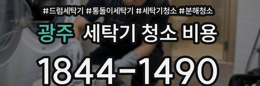 광주 세탁기 청소 비용