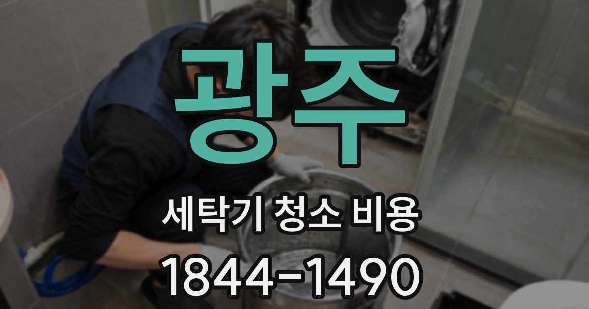 광주 세탁기 청소 비용
