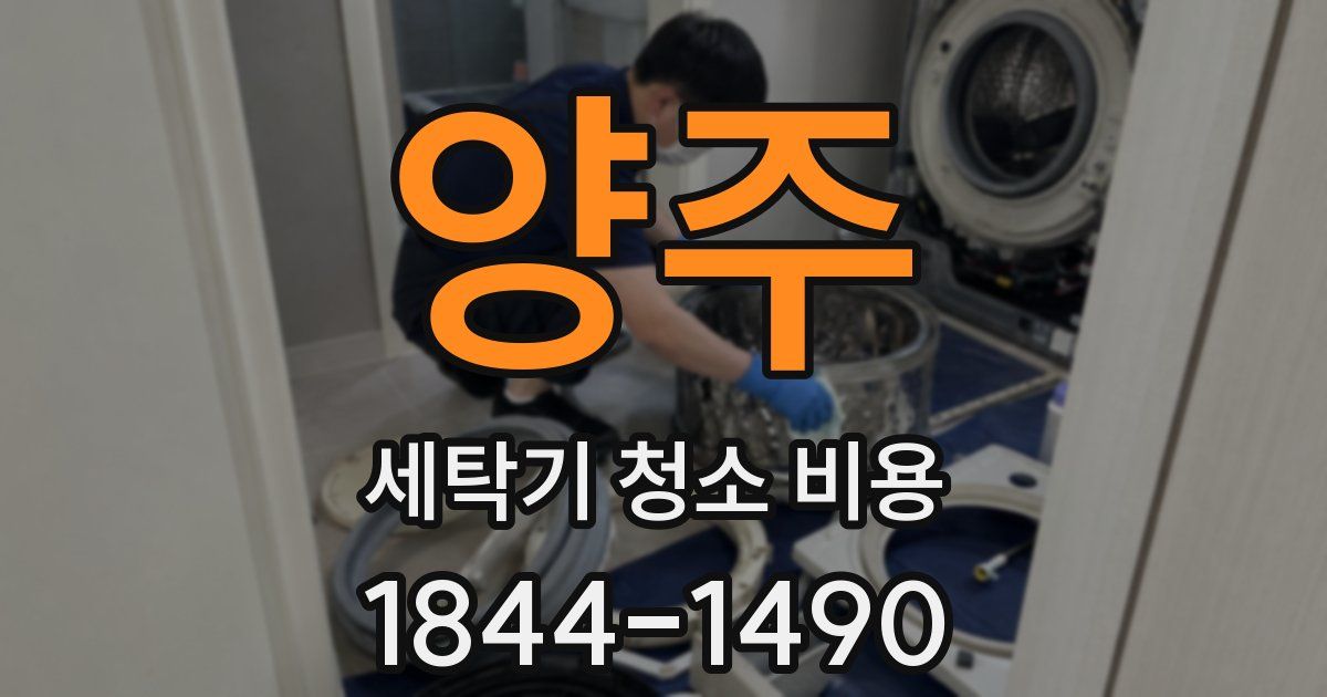 양주 세탁기 청소 비용