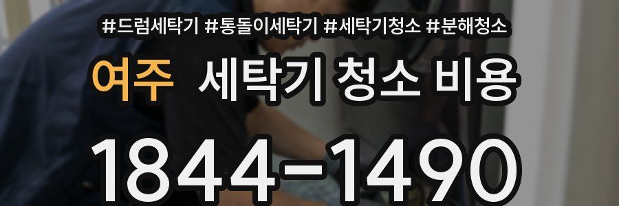 여주 세탁기 청소 비용