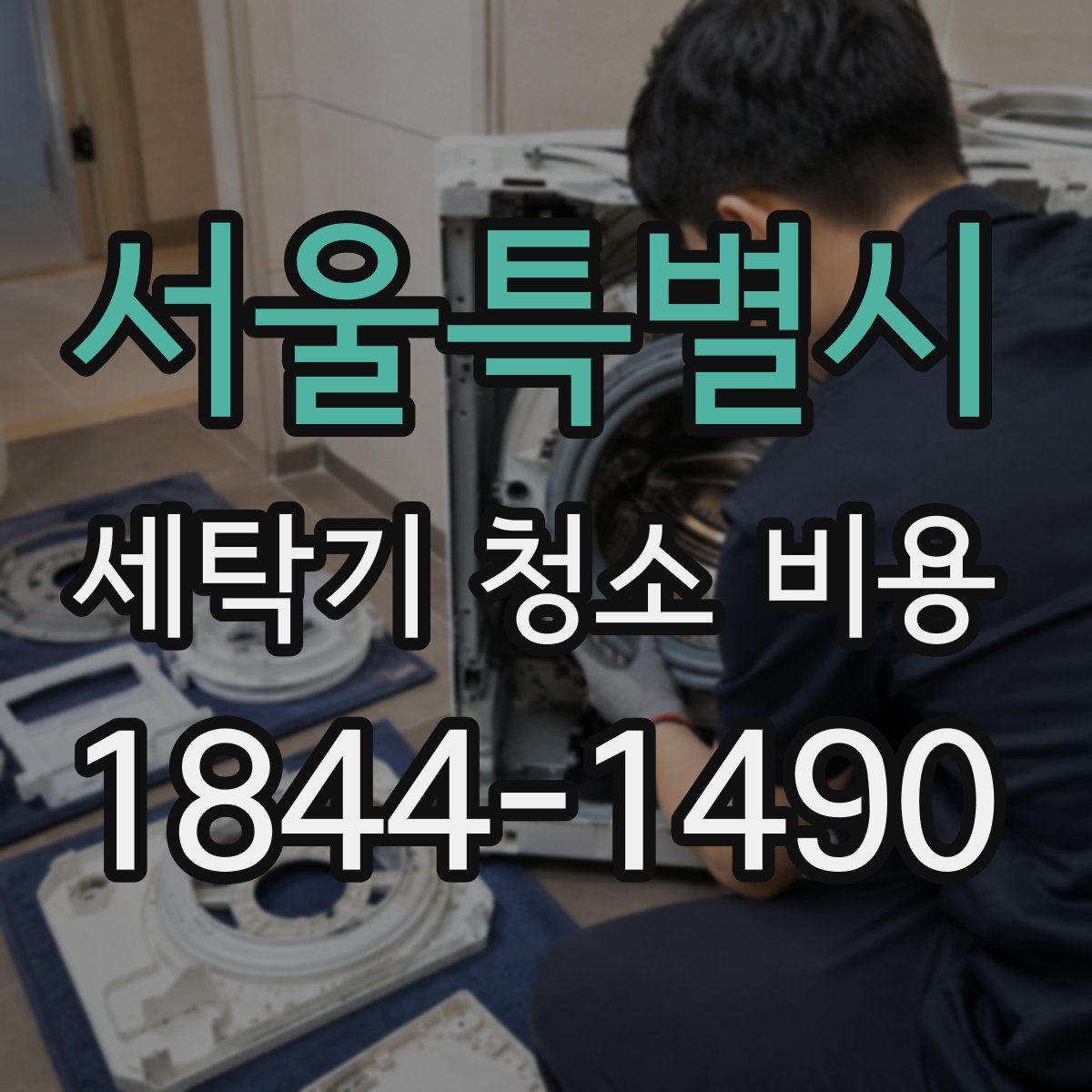 서울특별시 세탁기 청소 비용