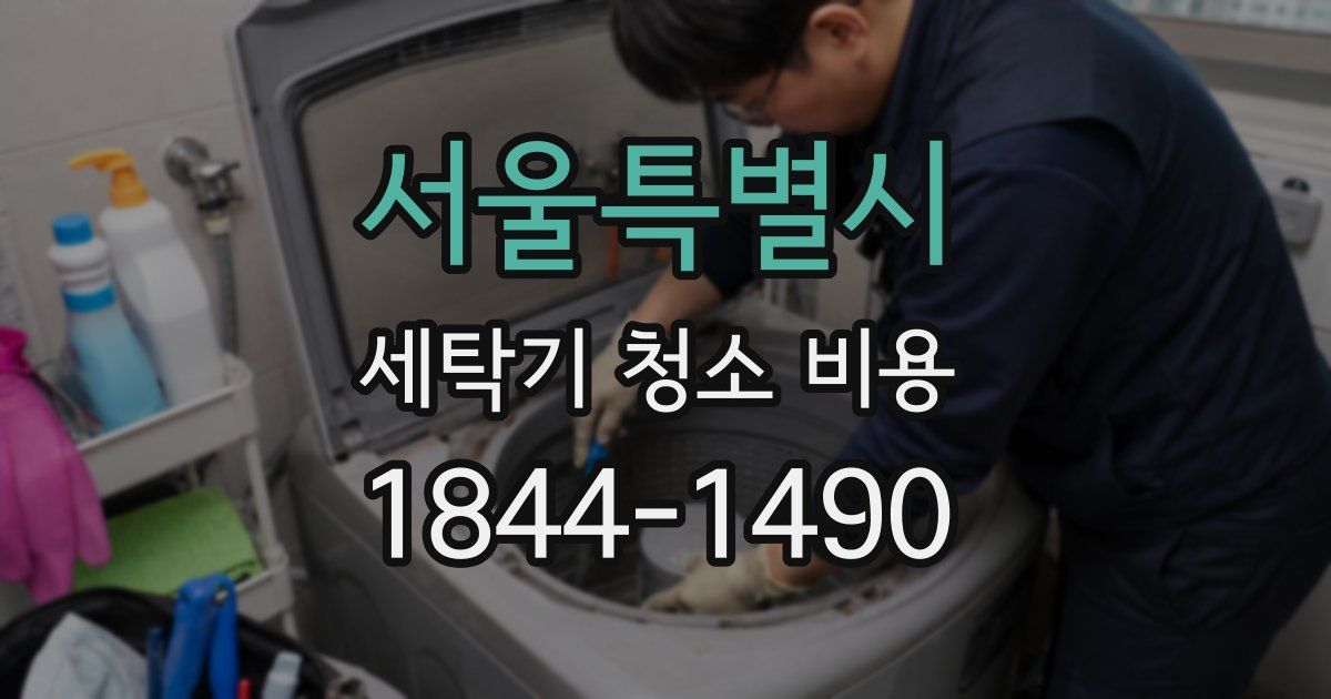 서울특별시 세탁기 청소 비용