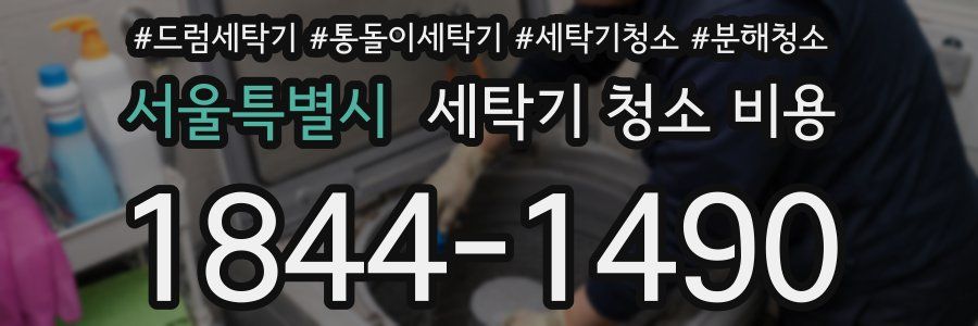 서울특별시 세탁기 청소 비용