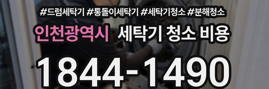 인천광역시 세탁기 청소 비용
