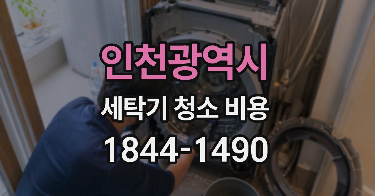 인천광역시 세탁기 청소 비용