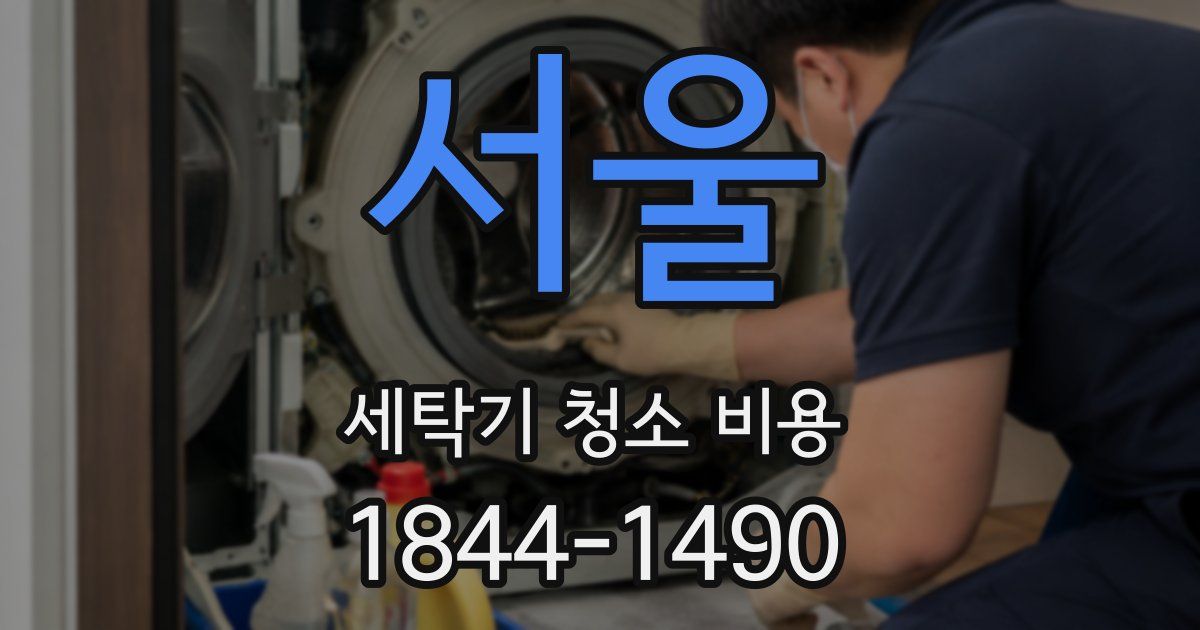 서울 세탁기 청소 비용