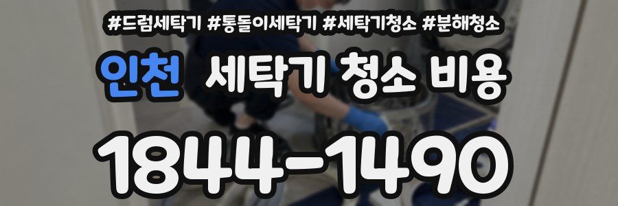 인천 세탁기 청소 비용